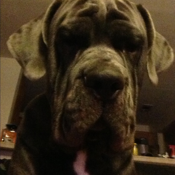 ๐พ๐พ๐พ๐พ๐พ๐พ๐พ๐พ๐พ๐พ๐พ๐พ - Picture 6 of 7